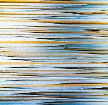 Planes y programas de la Junta de Andalucía