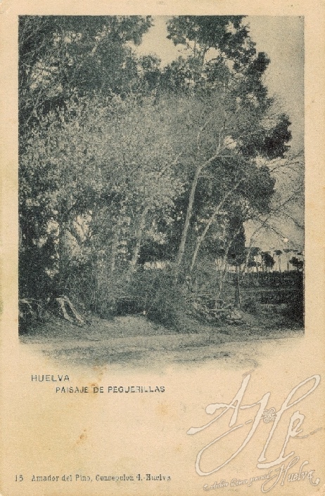 AHPH. F-001/005. Paisaje de Peguerillas. Huelva AHPH. F-001/005. Paisaje de Peguerillas. Huelva