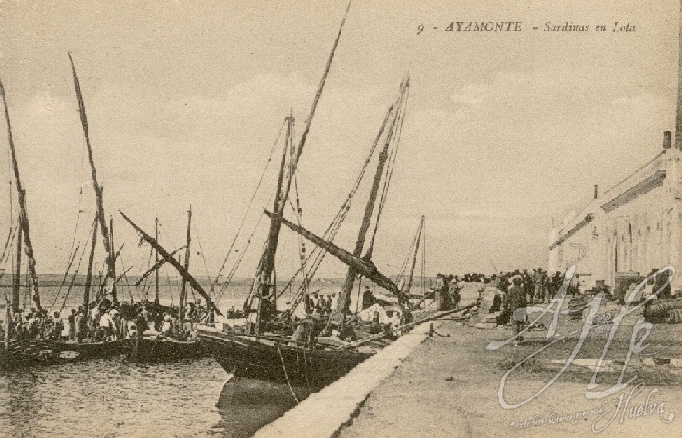 AHPH. F-001/081. Sardinas en Lota. Ayamonte (Huelva). AHPH. F-001/081. Sardinas en Lota. Ayamonte (Huelva).