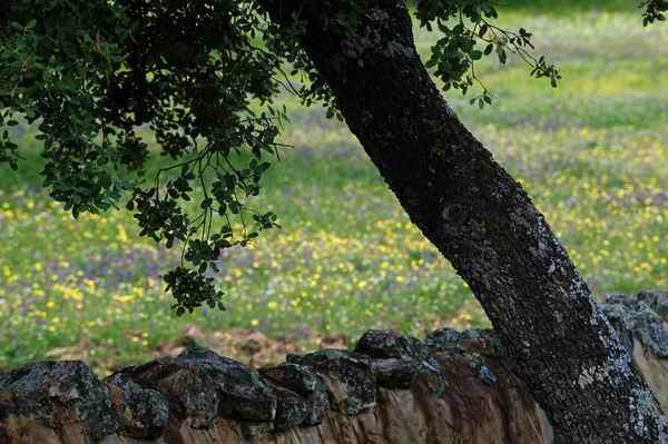 ELEMENTOS ESTRUCTURALES 4