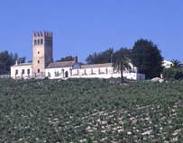 Cadiz. Macharnudo Cadiz. Macharnudo