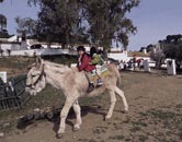 Cordoba. Marques de Cabriñana Cordoba. Marques de Cabriñana