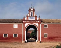 Sevilla. Ibarburu Sevilla. Ibarburu