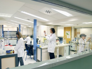 Científicos investigando en un laboratorio