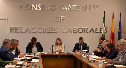 Pleno del CARL