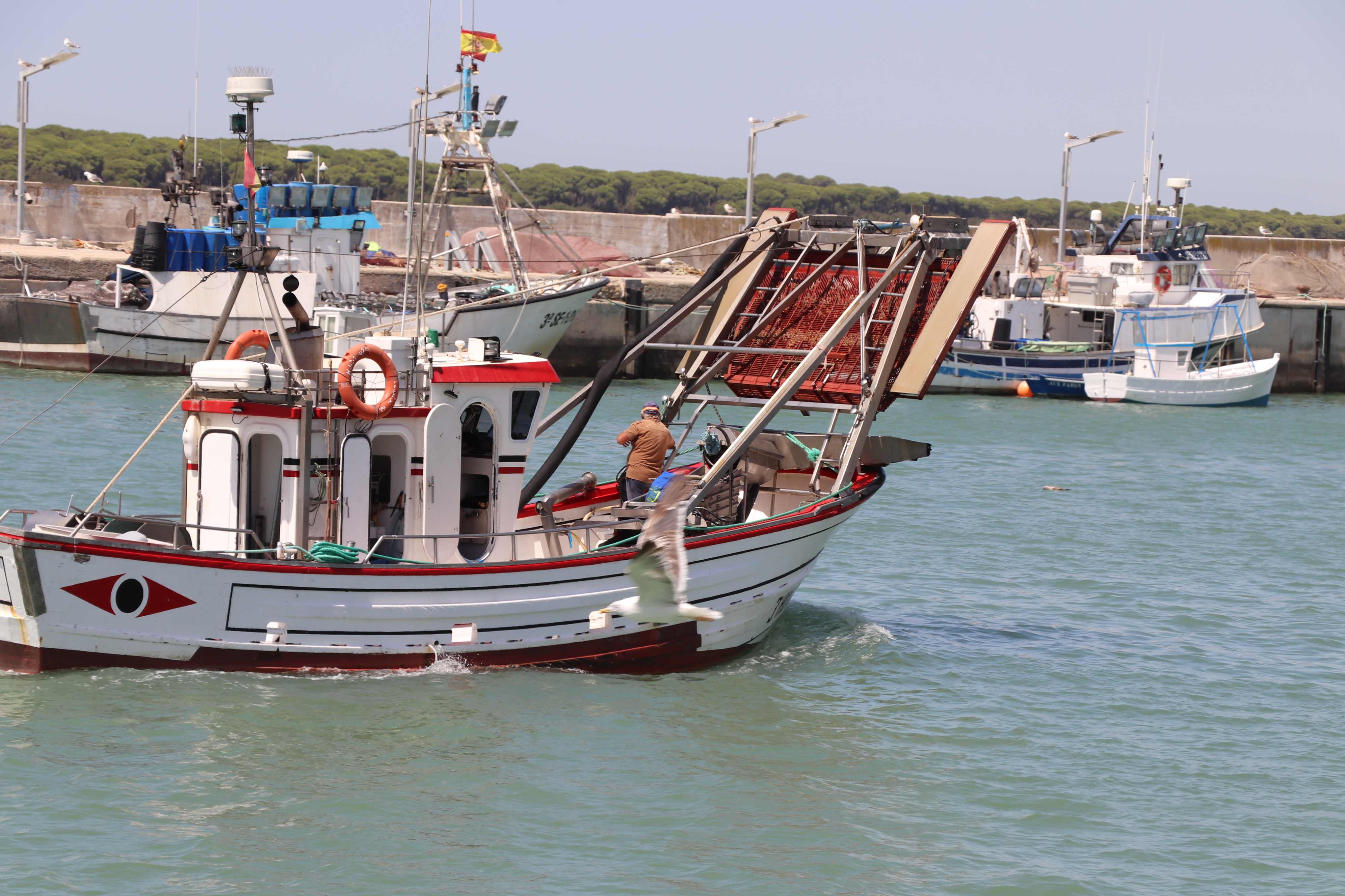 pesqueros