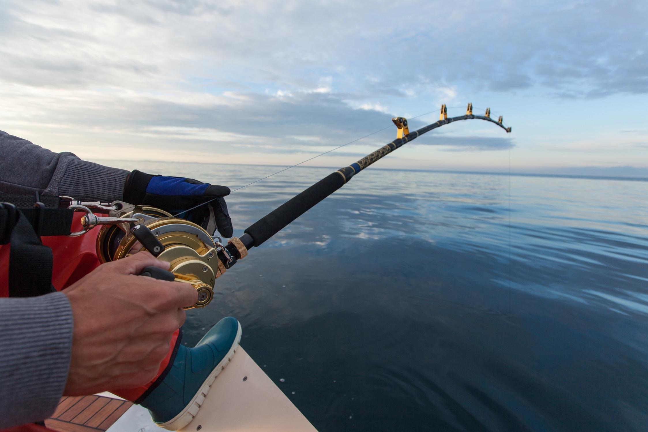 pesca con caña