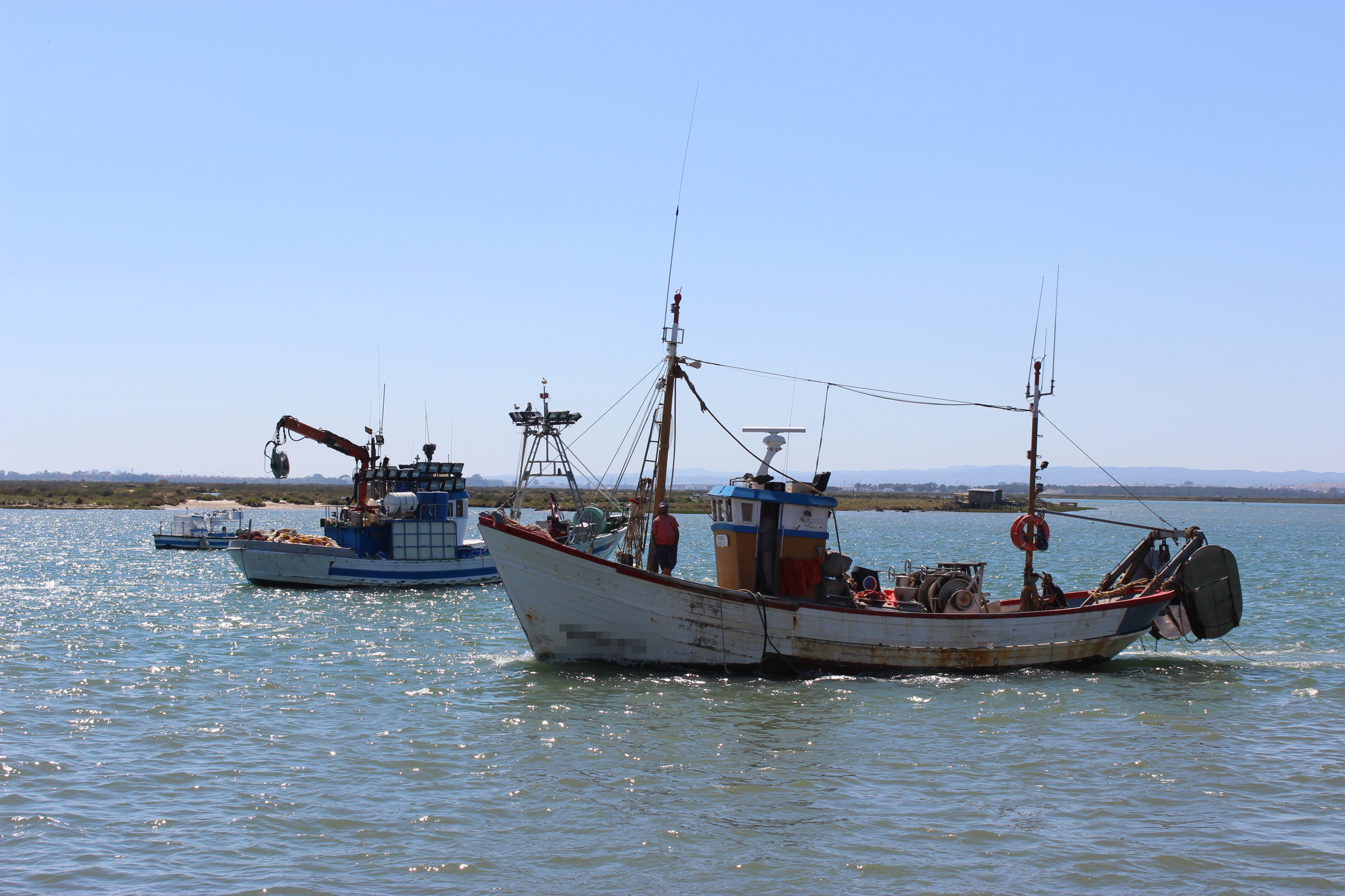ayudas sector pesca