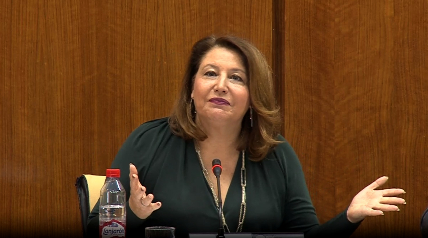 Carmen Crespo asiste a la Comisión del Parlamento de Andalucía