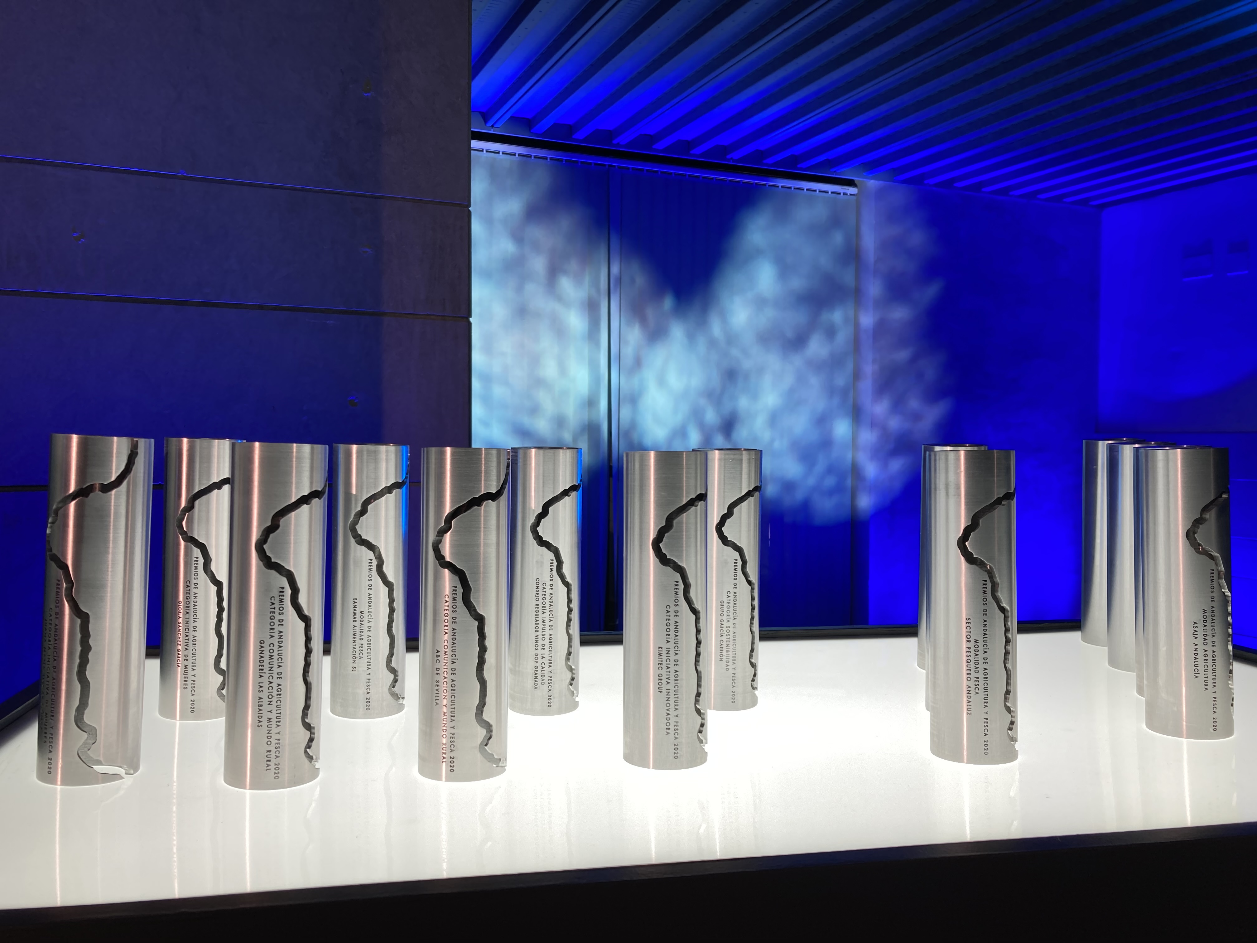 Galardones que se entregan a los premiados.