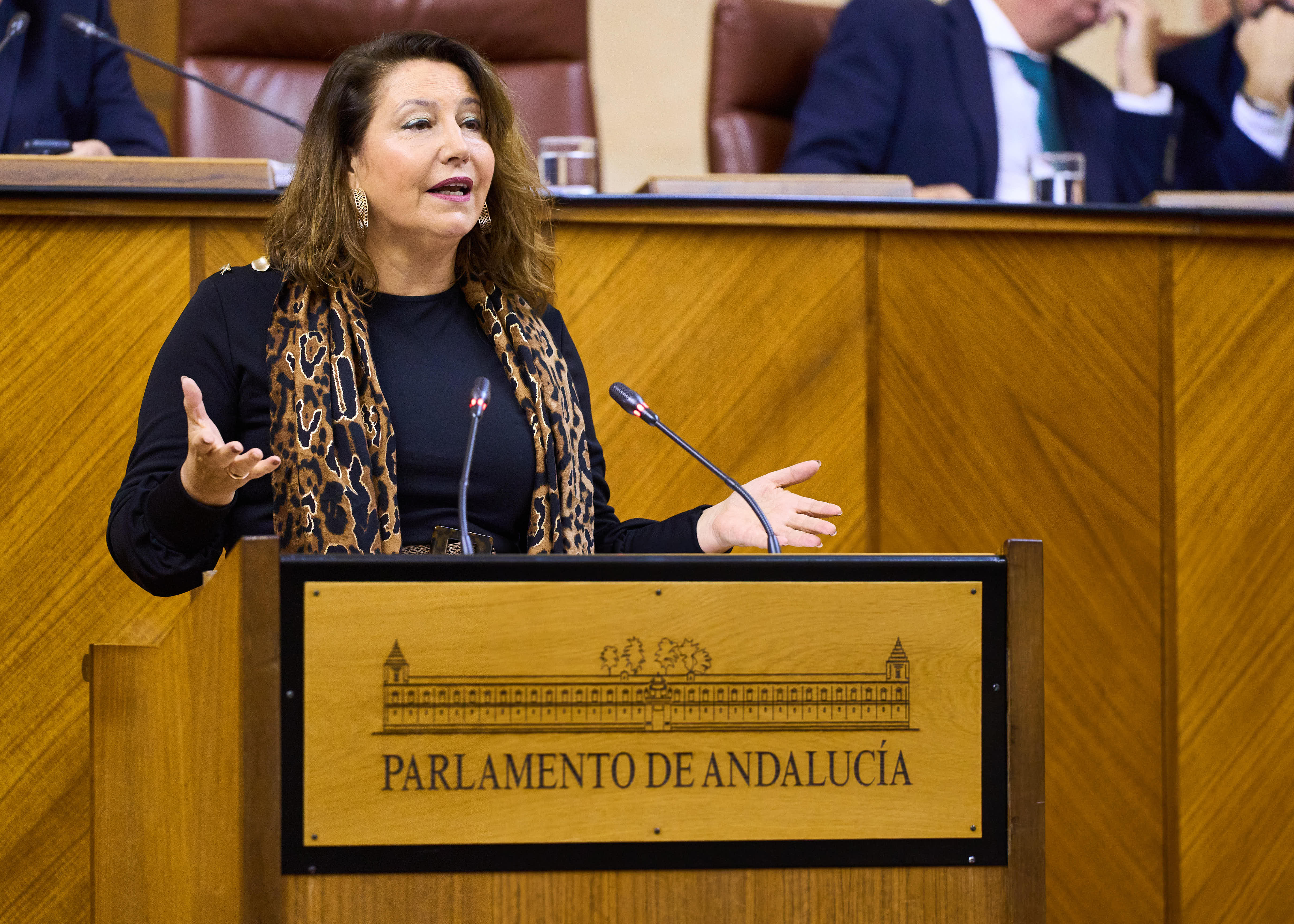 La consejera Carmen Crespo interviene en el Parlamento de Andalucía