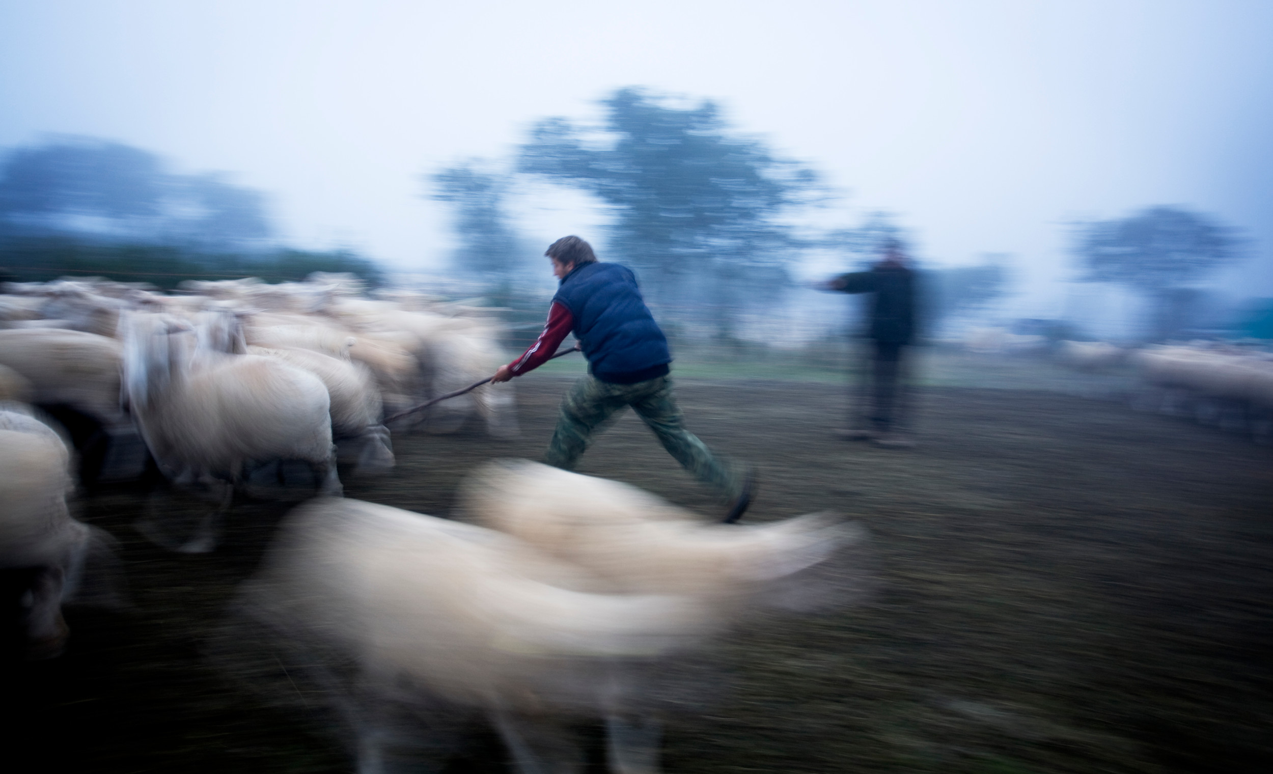 "El Gancho", imagen ganadora del V Concurso Fotográfico Medio Rural y Pesquero en Andalucía