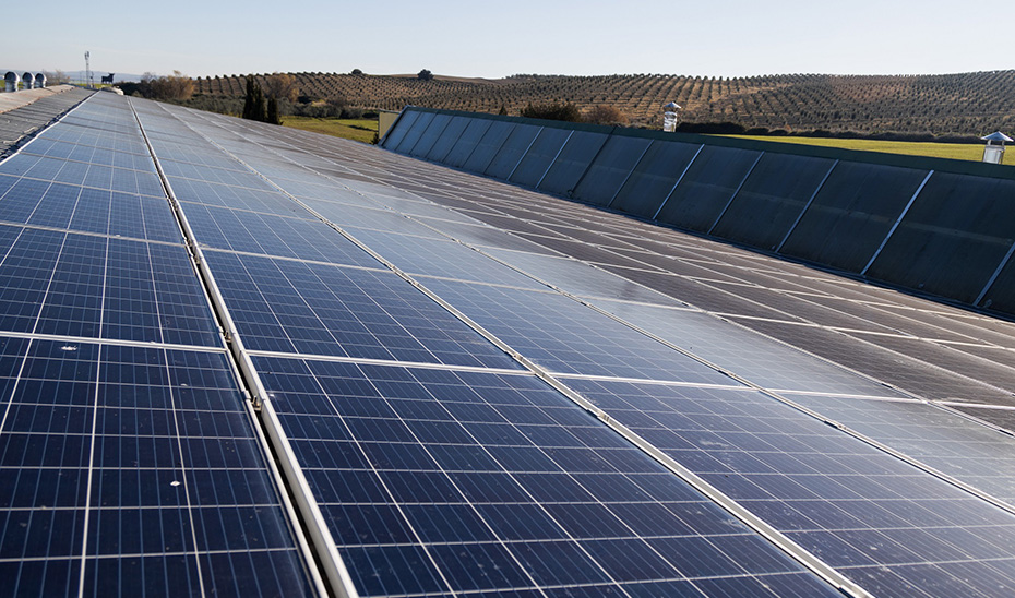 En 2022, el 54,2% de la energía eléctrica que se consumió en Andalucía fue de fuentes renovables.