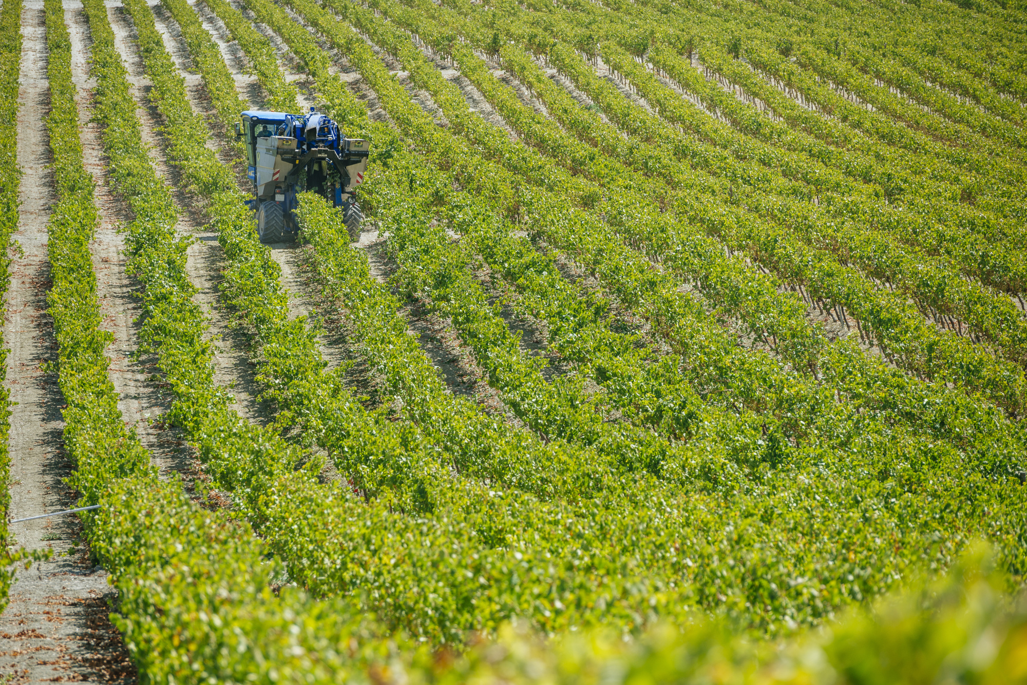 Máquina trabajando en el campo.