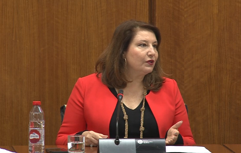 La consejera Carmen Crespo en el Parlamento.