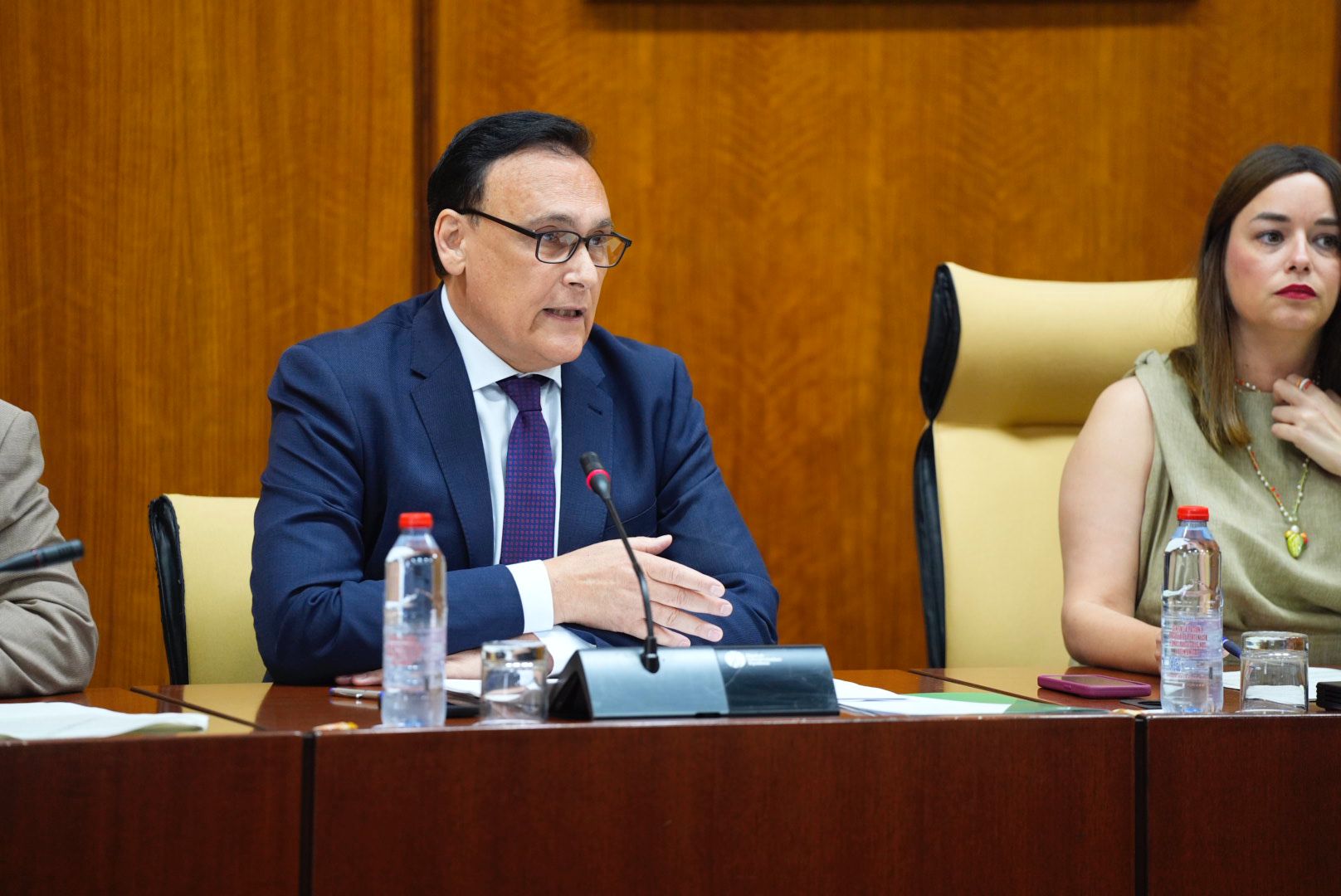 Villamandos en comisión parlamentaria