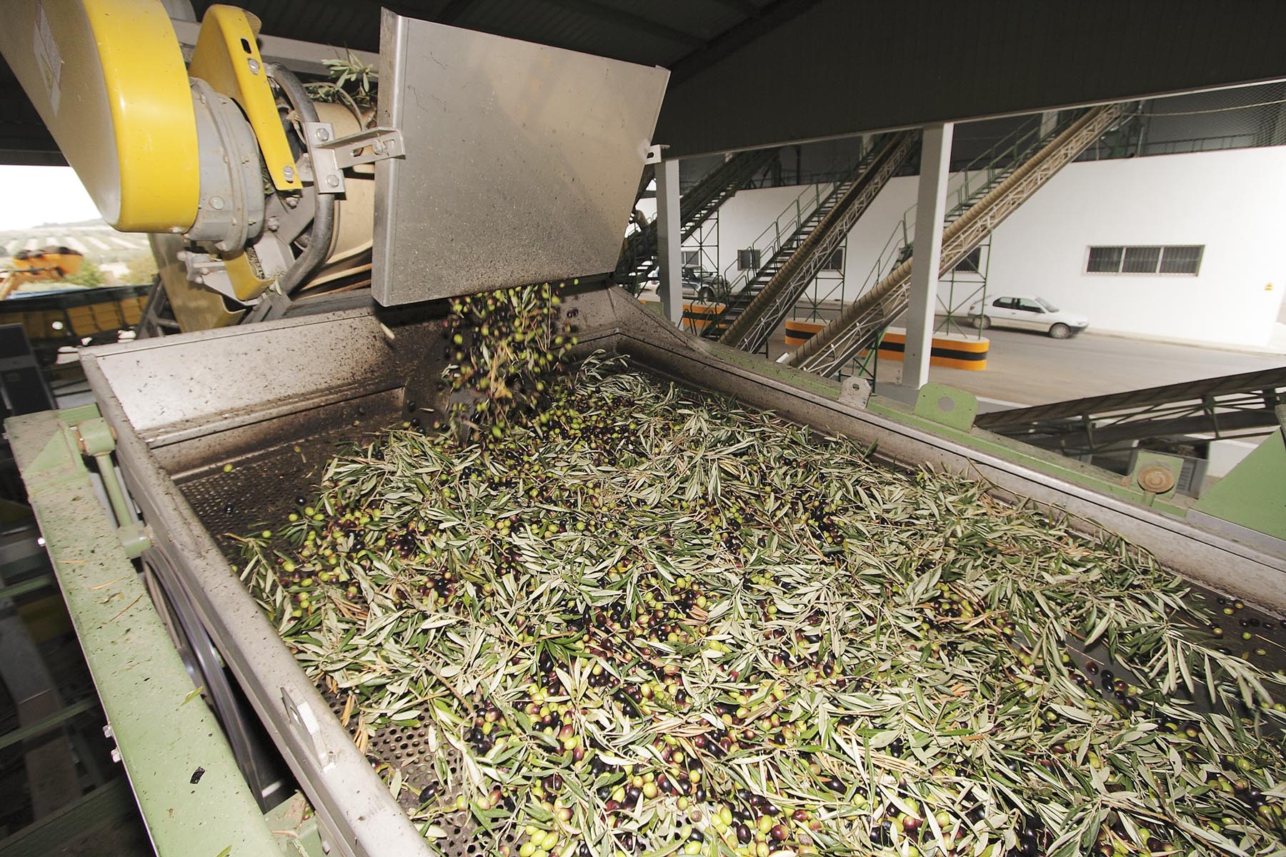 Imagen de una almazara.