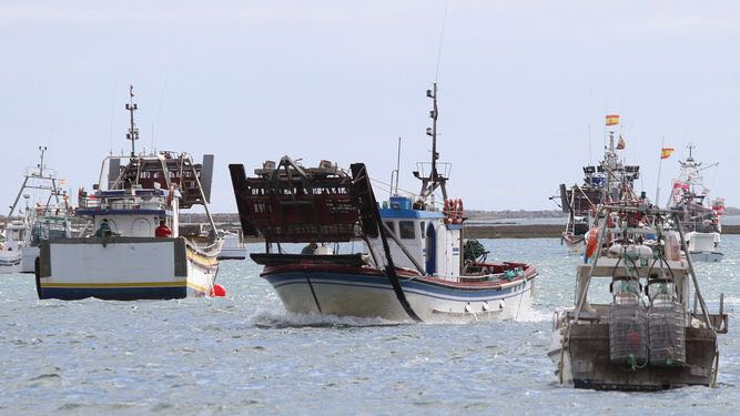 Embarcación pesquera