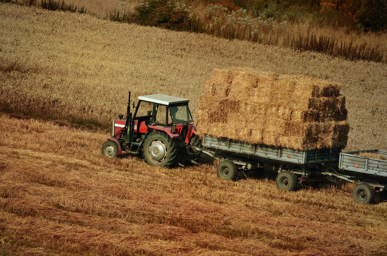 Labores en un campo de cereal.