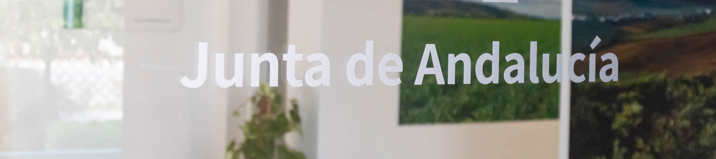 Vinilo corporativo de la Junta de Andalucía en un cristal de oficina