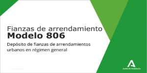 Cómo rellenar el formulario 806