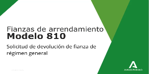 Cómo rellenar el formulario 810