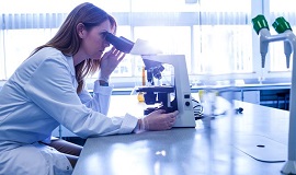 Contratos para jóvenes investigadores