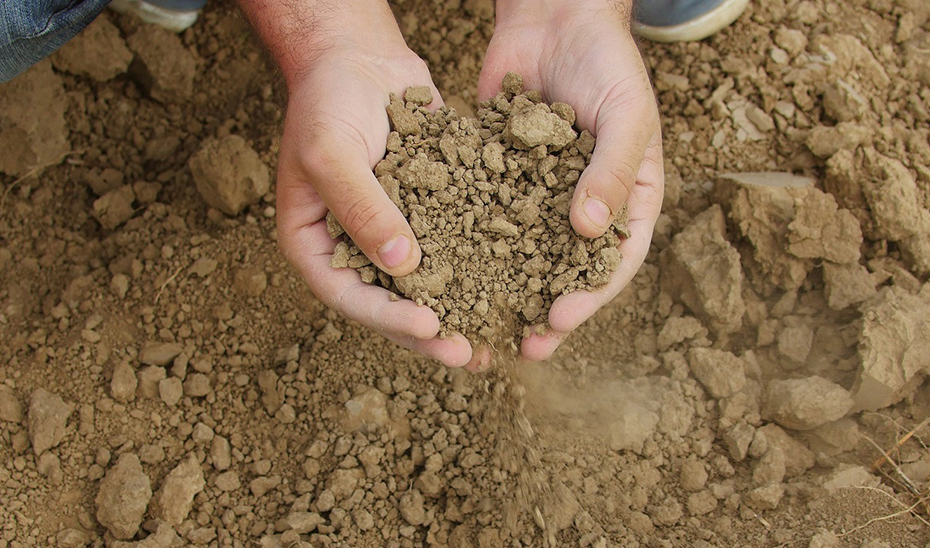 suelo afectado por la sequía
