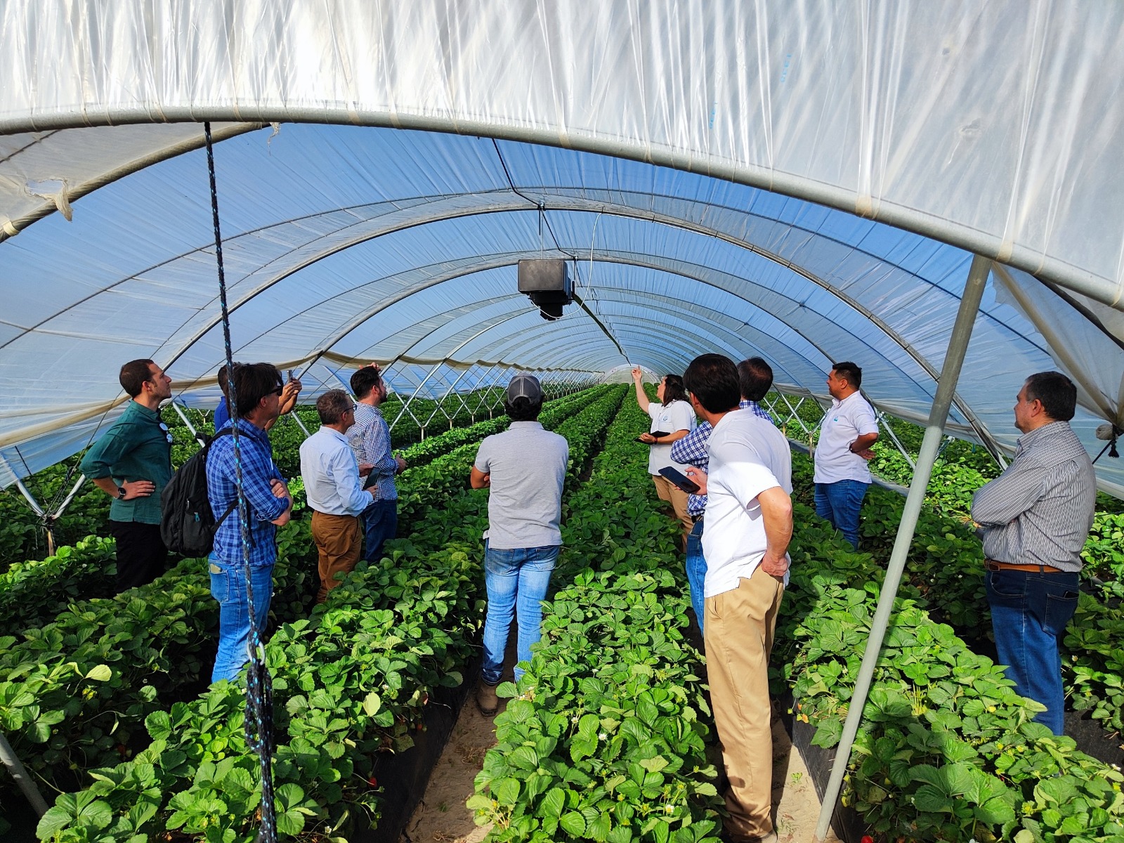 Una de las acciones de Demofarm