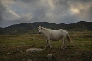 Fotografía de la muestra BRUJAS, de la fotógrafa y documentalista Judith Prat