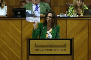 La consejera participa en la sesión plenaria del Parlamento de Andalucía.