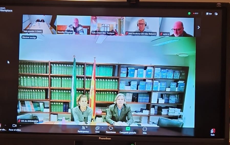 Un momento de la reunión telemática del Grupo de Trabajo de los CES del Arco Mediterráneo