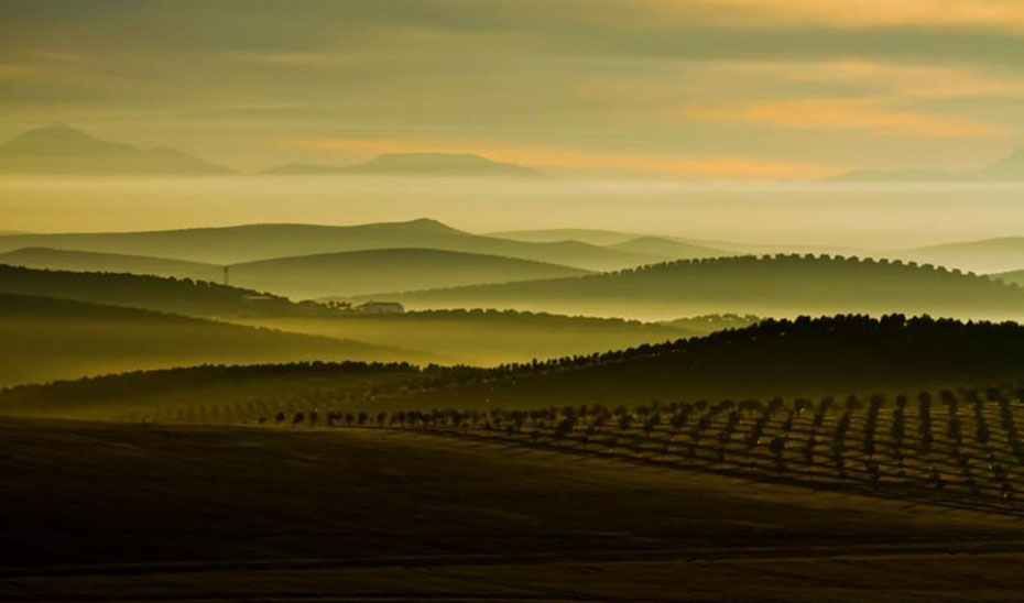 Los Premios Andalucía de Medio Ambiente celebran este año su XXIX edición.