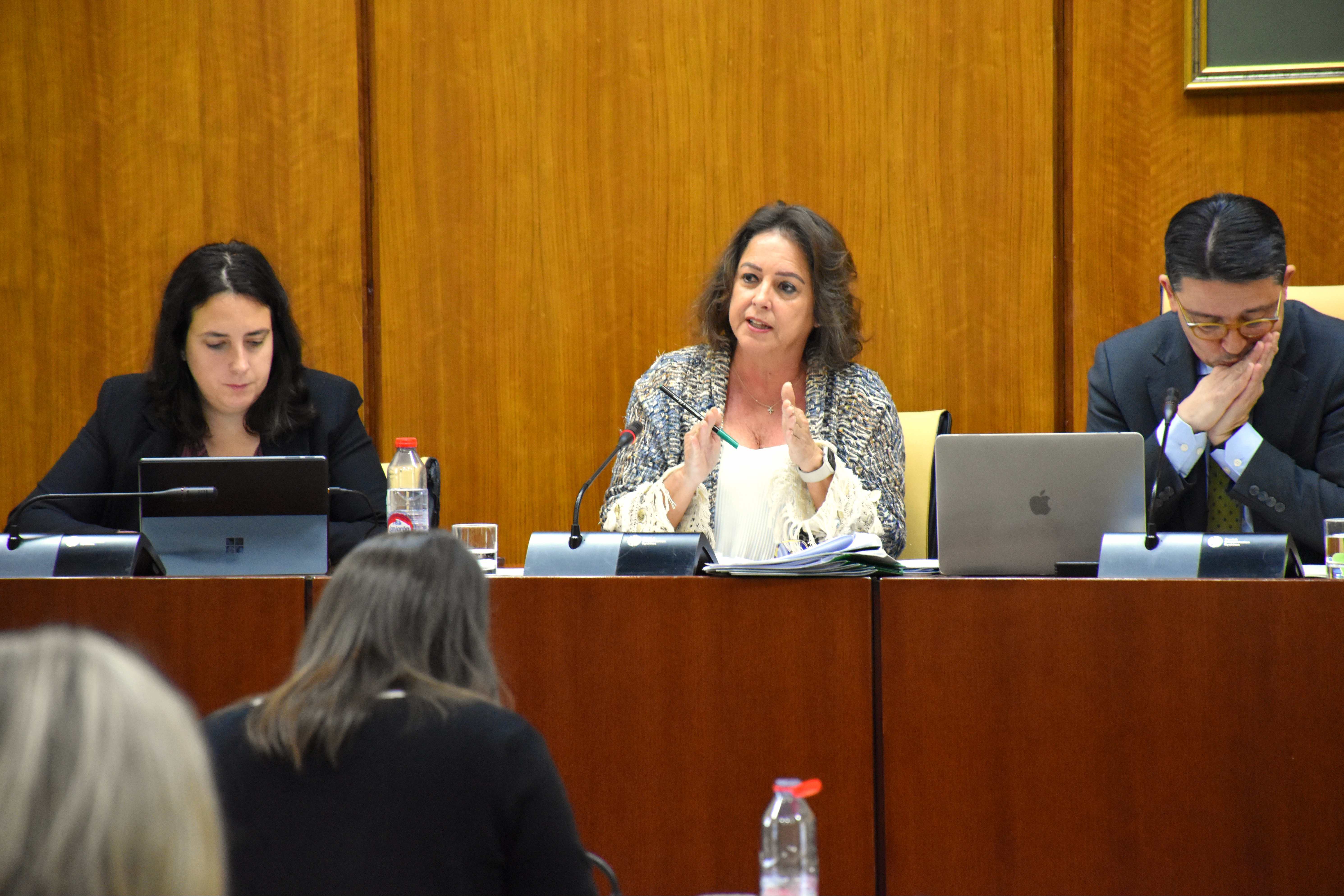 Catalina García, durante su intervención en Comisión parlamentaria.