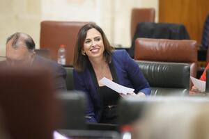 La consejera Rocío Díaz participa en la sesión plenaria.