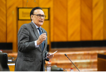 Villamandos en el Pleno