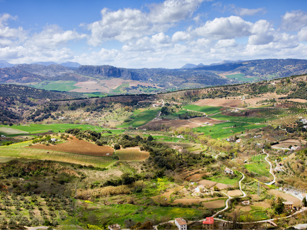 La consejera se ha dirigido por carta a los alcaldes de los municipios de más de 50.000 habitantes.