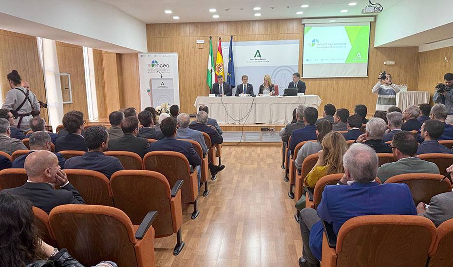 El consejero de Industria, Energía y Minas, Jorge Paradela, en la presentación de los nuevos incentivos financiados con Fondos FEDER para la industria de Andalucía en Huelva.