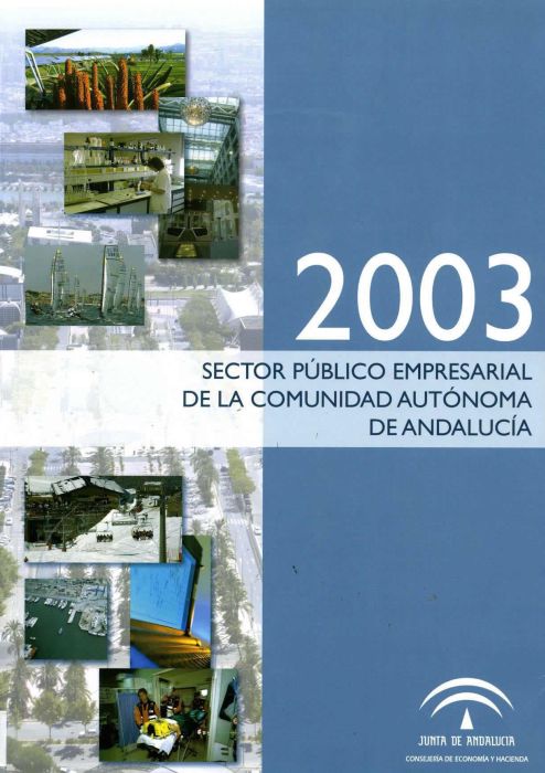 Sector público empresarial de la Comunidad Autónoma de Andalucía 2003