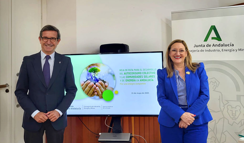 El consejero de Industria, Energía y Minas, Jorge Paradela, junto a la directora gerente de la Agencia Andaluza de la Energía, Natalia Márquez.