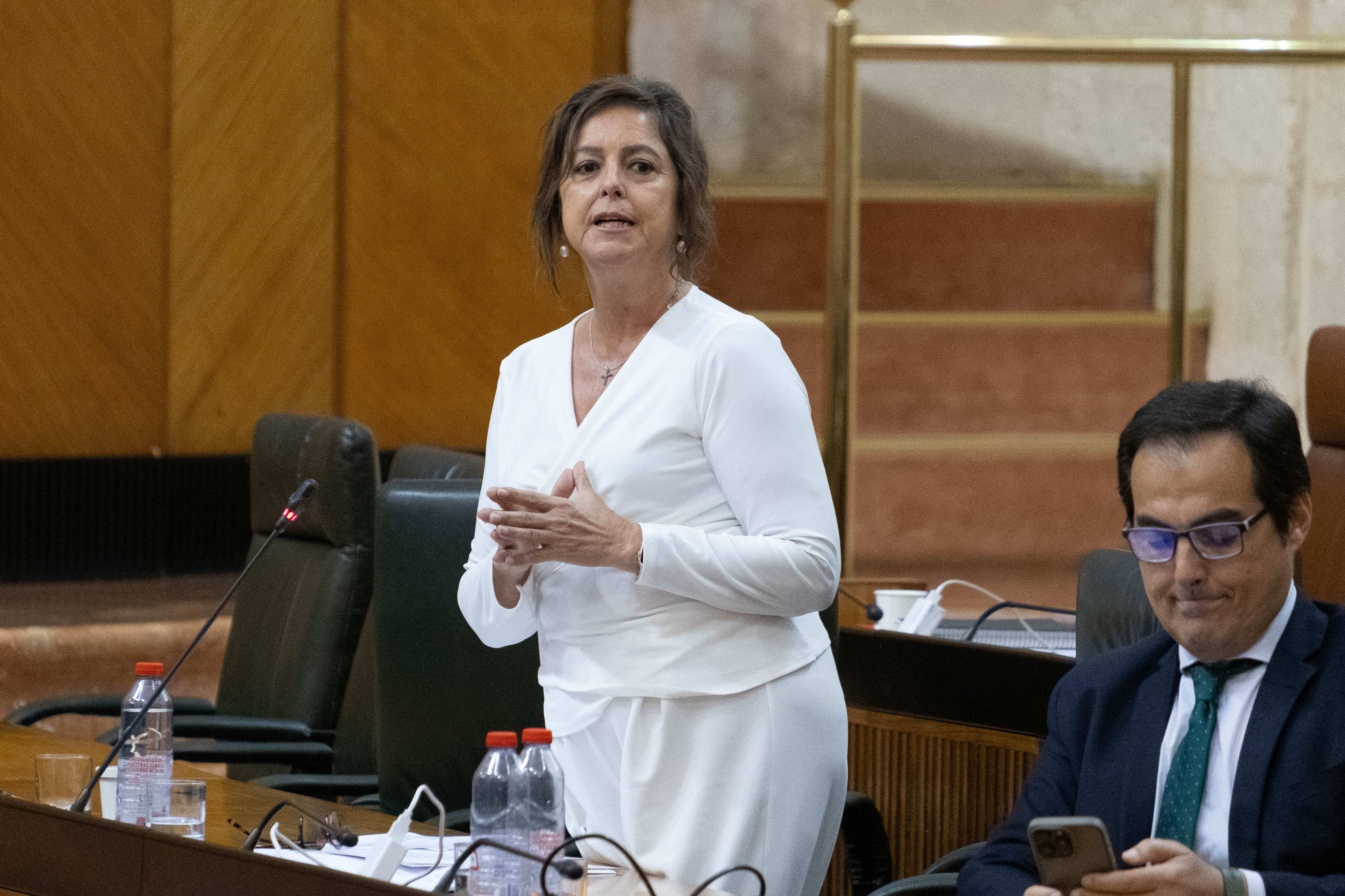 La consejera, durante su intervención en el Parlamento andaluz.