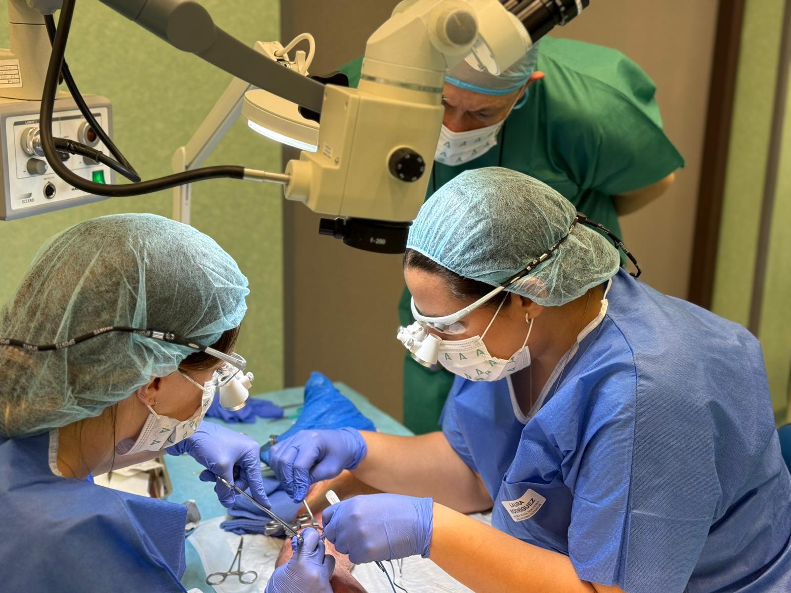 El centro de simulación clínica reúne a especialistas para entrenar técnicas de microcirugía nerviosa