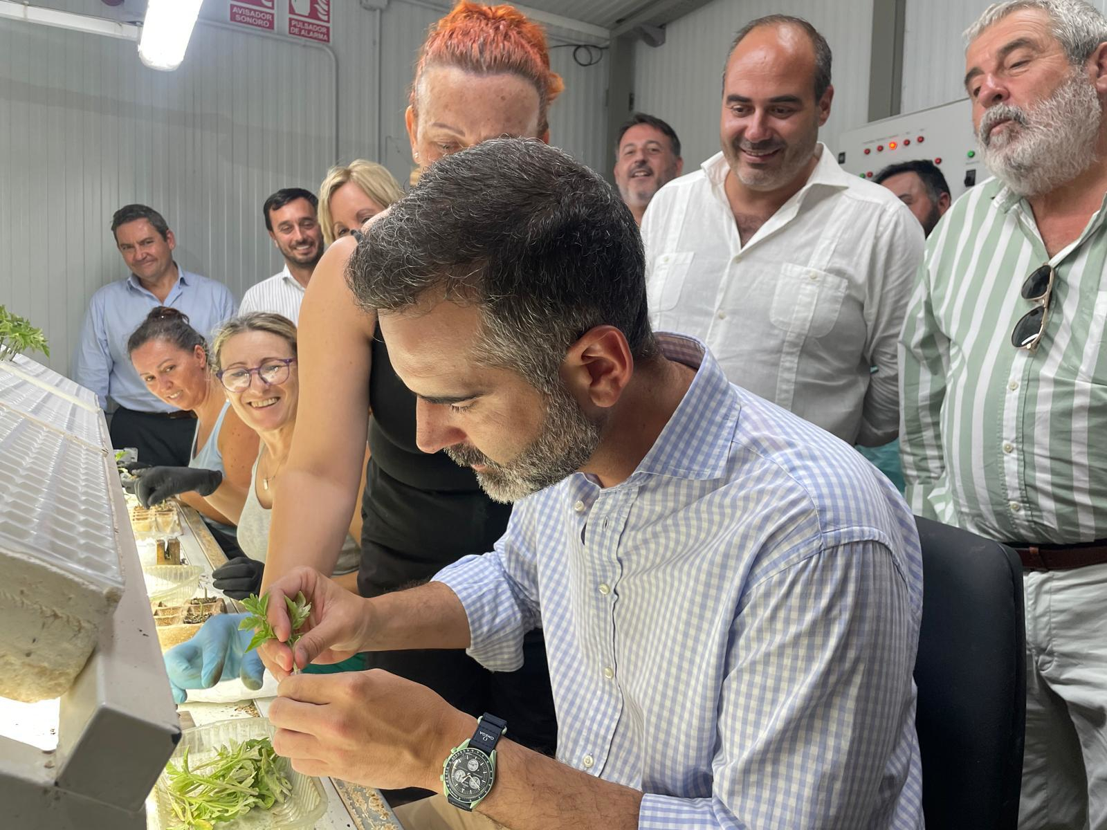 Ramón Fernández-Pacheco visita la cooperativa Nuestra Señora de las Virtudes de Conil de la Frontera (Cádiz)