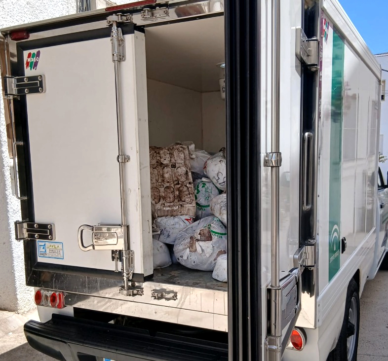 Imagen del pulpo congelado incautado en Níjar (Almería)