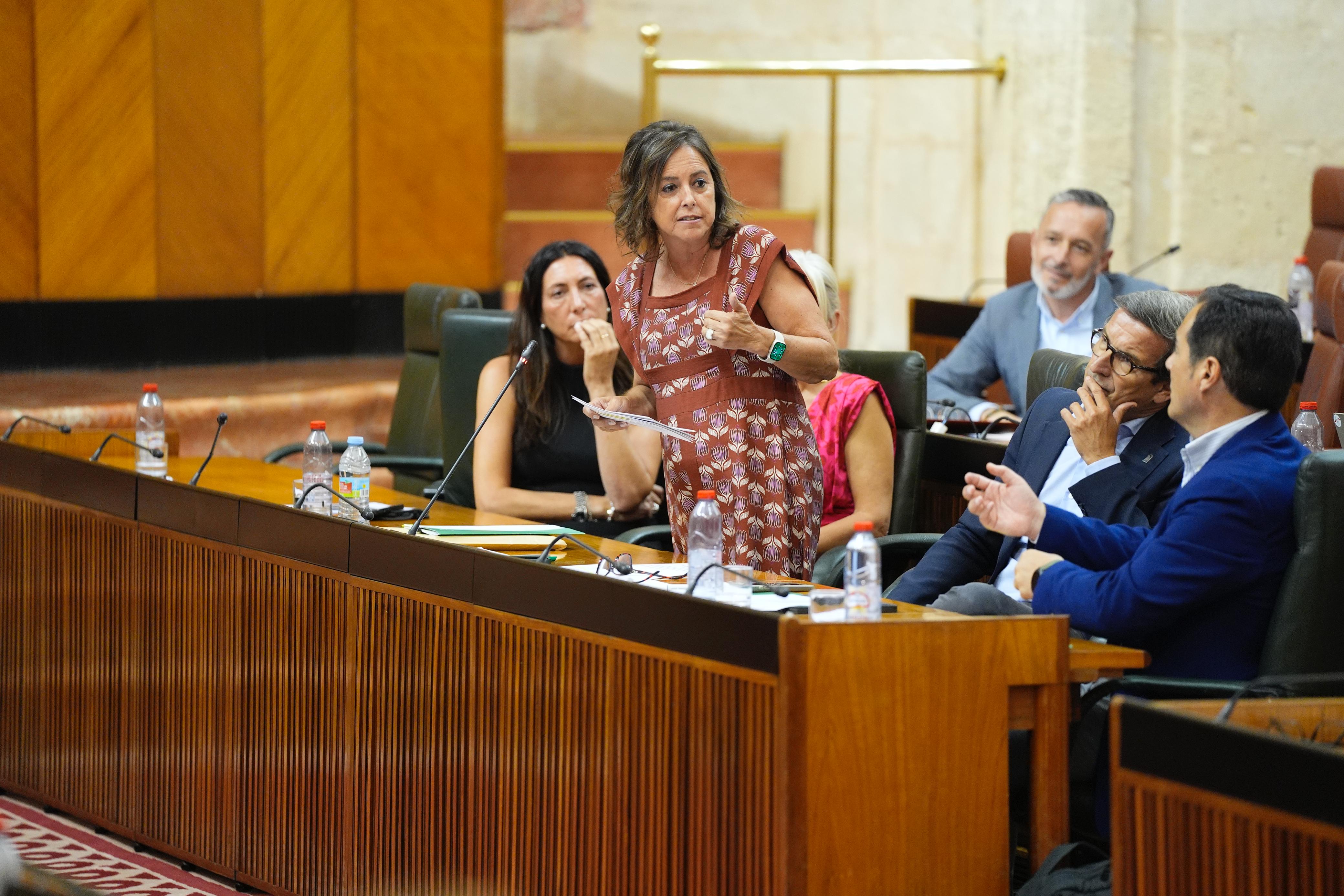 Catalina García, durante su intervención parlamentaria.