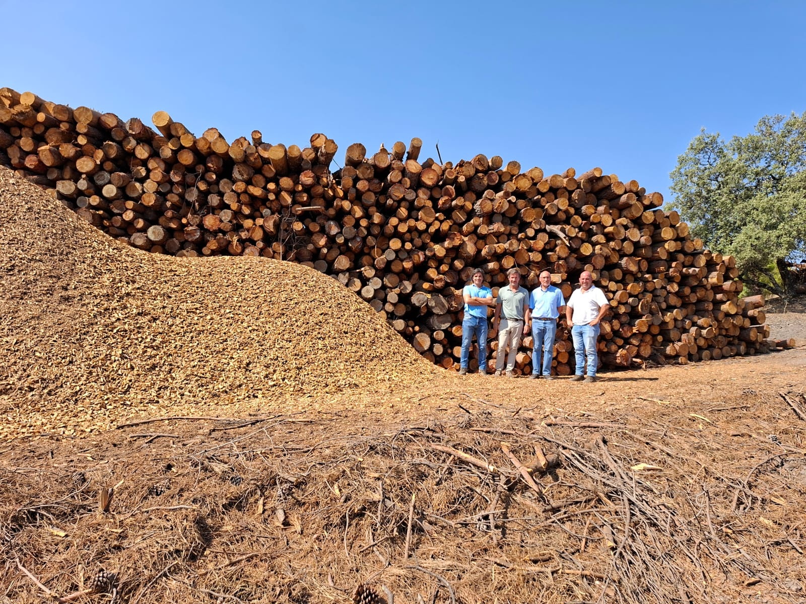 La Junta ha desarrollado trabajos de aprovechamiento de madera y biomasa en el Parque Natural Sierra de Cardeña - Montoro.