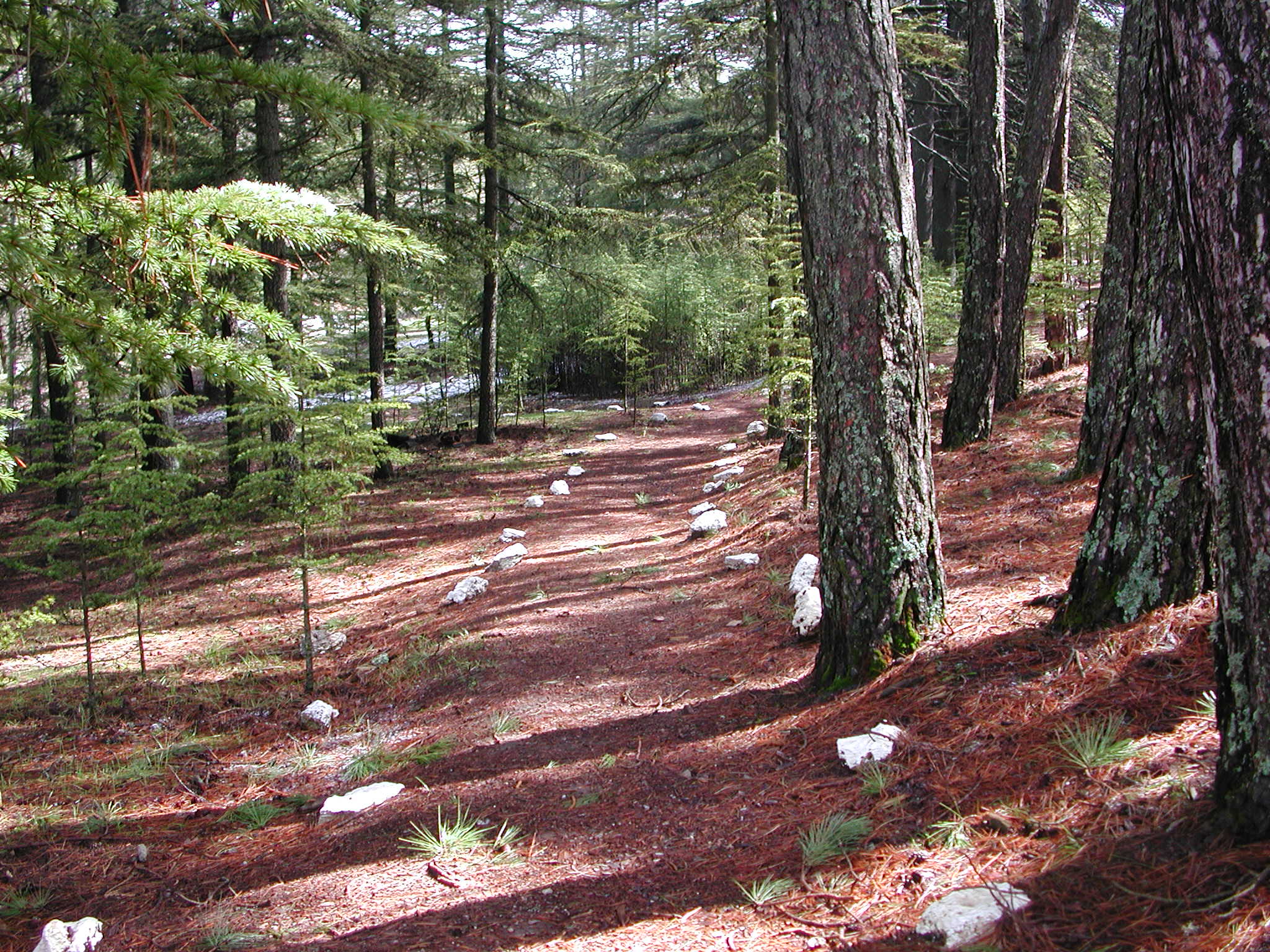 Este conjunto de intervenciones se alinea con los objetivos de adaptación al cambio climático.