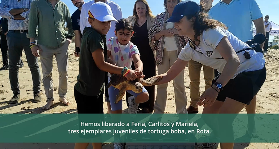 suelta tortugas boba