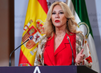 Carolina España, Consejera