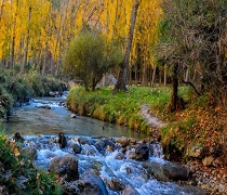 CVJ que se desarrollará en el Aula de Naturaleza de Dílar, junto al río del mismo nombre
